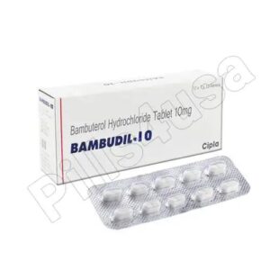 Bambudil