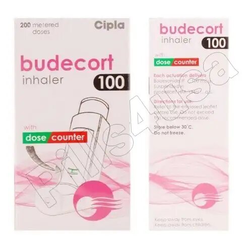 Budecort Inhaler 100mcg