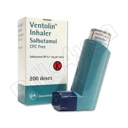 Ventorlin Inhaler 100