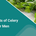 The Top Benefits of Celery Leaves for Men