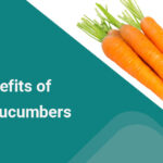 Health Benefits of Carrots and Cucumbers