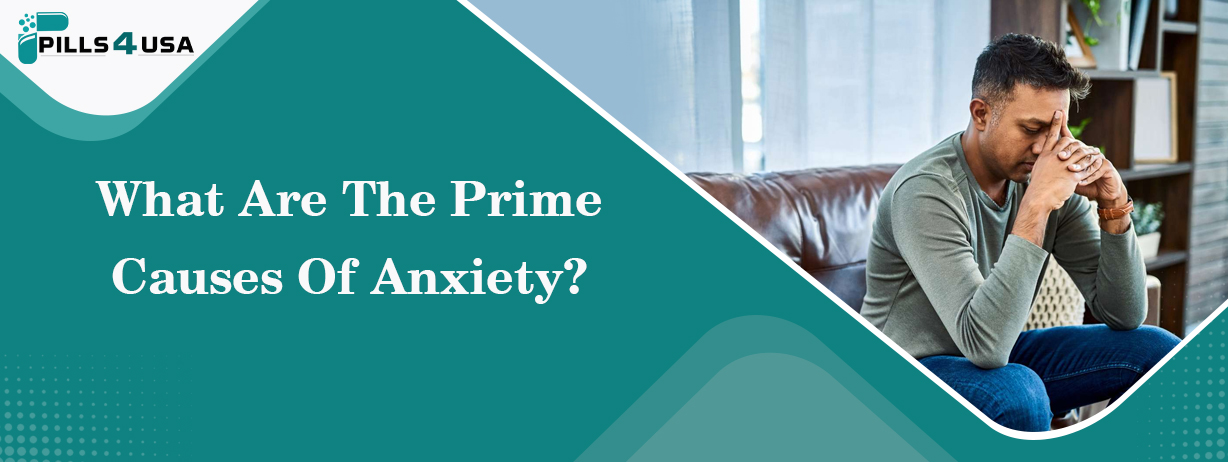 What Are The Prime Causes Of Anxiety?