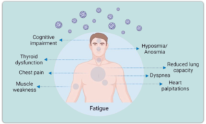 Musculoskeletal pain