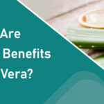 What Are The Health Benefits Of Aloe Vera?