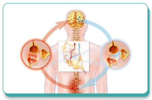 Neuropathic Pain