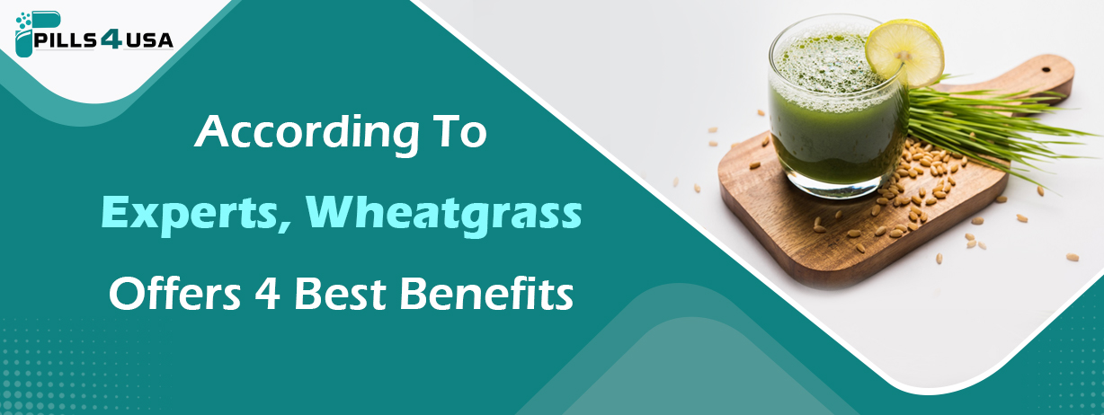 Wheatgrass